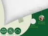 Eco Microfaser Kopfkissen | 40 x 80 cm | DREAMSTAR Eco | Produktbild-Vorschau 2