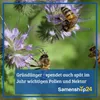 Kiepenkerl Gründüngung Winterraps Brassica napus 1 kg Produktbild-Vorschau 3