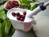 Odkôstkovač čerešní - BIOWIN Náhľad obrázku produktu 16