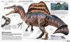 DK Wissen. Dinosaurier Produktbild-Vorschau 5