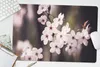 MuchoWow® Schreibtischunterlage Blumen - Weiß - Natur - Produktbild-Vorschau 5