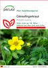 SAFLAX - Gänsefingerkraut - Potentilla anserina - 20 Samen Produktbild-Vorschau 1