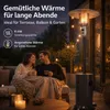Heizpilz Gasheizer Eco Terrassenheizstrahler Gas Produktbild-Vorschau 7