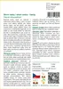 SAFLAX - Strom lásky / strom srdce - Cercis siliquastrum - Náhled obrázku produktu 3