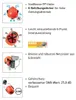 Oregon Forsthelm Forst Schutzhelm YUKON 55-62 cm orange normgerecht 183834 562412 5400182979876 schutzhelmkombination Sicherheit Waldarbeit Persönliche Schutzausrüstung Forst Waldarbeiten Holzernte Holzschnitt Produktbild-Vorschau