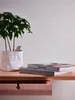 A plant in a white pot sits on a wooden shelf next to two books, with a textured white wallpaper in the background. Produktbild-Vorschau