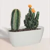 KADAX Blumentopf mit Untersetzer "Temara", Blumenkübel, Produktbild-Vorschau 7