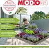 MODO24 Hochbeet Holz, Pflanzkasten, Massivholz, Kiefer, Produktbild-Vorschau 2