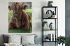 MuchoWow® Poster Schottischer Highlander - Kröte - Tiere Produktbild-Vorschau 4