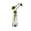 Sandra Rich 865-12-99, Konisch geformte Vase, Transparent, Produktbild-Vorschau 4
