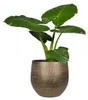 Steege Pflanztopf/Blumentopf - Keramik - Metall Gold - 27 x Produktbild-Vorschau 3