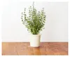 EMSA Click&Grow Substratkapsel Thymian 3er Set CLICK&GROW Anteprima dell’immagine prodotto 3