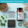 DR WAKDE'S Asthi Shrinkhala Capsules (Cissus Náhled obrázku produktu 4