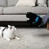 INF Katzenpuppe Wrestler Plüschtier Produktbild-Vorschau 3