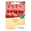 Zucca di Hokkaido - Red Kuri Anteprima dell’immagine prodotto 1