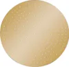 A round, golden showerhead with many small holes is shown against a white background. Náhľad obrázku produktu