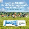 HUND IST KÖNIG Windeln für Hündinnen [3 Stk], L (Taille Produktbild-Vorschau 6