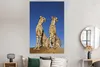 MuchoWow® Poster Wilde Geparden 120x180 cm - Kunstposter Produktbild-Vorschau 4