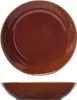 Piatto fondo Darwin rosso - D 20 cm Anteprima dell’immagine prodotto 1