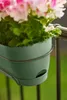 elho® Vibia campana Pflanzkasten Pistaziengrün 70 cm mit Produktbild-Vorschau 9