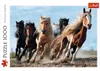 Trefl 10446, 1000 Stück(e), Tiere, 12 Jahr(e) Produktbild-Vorschau 4