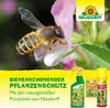 A bee on a flower with product packaging in the foreground. Produktbild-Vorschau