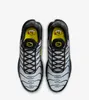 A top-down view of a pair of Nike TN Air Max Plus sneakers. Náhled obrázku produktu