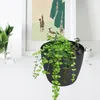 A potted plant with trailing vines sits on a white surface next to a framed picture and a small silver bowl. Produktbild-Vorschau