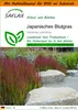 SAFLAX Garden in the bag - Japanisches Blutgras - Imperata Produktbild-Vorschau 1