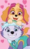 Kinder-Fleecedecke Paw Patrol PP518 100x150 cm Produktbild-Vorschau 2