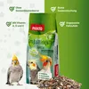PANTO Großsittichfutter Spezial mit Pluramin® (ohne Produktbild-Vorschau 2