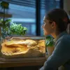 A woman looks at a terrarium with a rock formation and plants. Produktbild-Vorschau