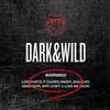 Dark & Wild, CD Podgląd zdjęcia produktu 1