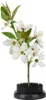 Schwarze runde Ikebana Kenzan Nadel Blumenstecknadel Produktbild-Vorschau 2