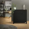 A black metal cabinet with four doors is shown in a room with a desk and shelves in the background. Náhled obrázku produktu