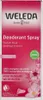 Weleda Wilde Roses Deodorant Spray 100ml Produktbild-Vorschau 3