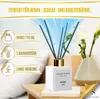 SCENTFUME Raumduft mit Duftstab, Bergamotte, Zeder, Ylang Produktbild-Vorschau 3