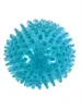 Zolux Pop Tpr Stekelbal Turquoise Produktbild-Vorschau 1
