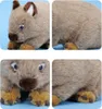 Realistisches Wombat Plüschtier, 26 cm, weiches Produktbild-Vorschau 6