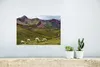 MuchoWow® Poster Alpaka - Hügel - Gras 30x20 cm - Plakate - Produktbild-Vorschau 5