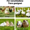Kurník Wiltec 3100 x 1500 x 1500 mm šedobílý s volným Náhled obrázku produktu 17