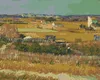 Zuty - Malen nach Zahlen - DIE ERNTE (VINCENT VAN GOGH), Produktbild-Vorschau 1