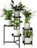 Luftreinigende Zimmerpflanzen - 5 Stk - Höhe 25-40cm - Produktbild-Vorschau 7