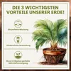 Green Home Grünpflanzen- & Palmenerde 72L – Pflanzenerde Produktbild-Vorschau 5
