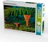 CALVENDO Puzzle Edel-Reizker (Lactarius deliciosus) | 2000 Produktbild-Vorschau 2