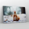 Bild auf Leinwand - Leinwandbild - Eichhörnchen Winter Produktbild-Vorschau 4