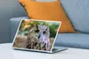 MuchoWow® Laptop Aufkleber Sticker Cover Braune Eule auf Produktbild-Vorschau 4