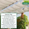 Seilspann-Sonnensegel + Montageset 270x140cm, cremeweiß Produktbild-Vorschau 7