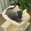 A cat is sleeping on a cat tree in a room with plants and curtains. Anteprima dell’immagine prodotto