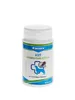 A product shot of a bottle of dog vitamins on a white background. Podgląd zdjęcia produktu